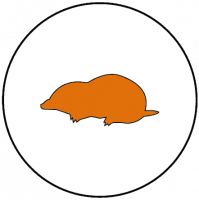 Dalpest Icons_Mole