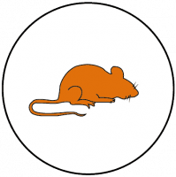Dalpest Icons_Mouse