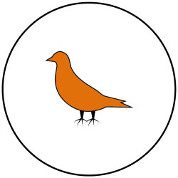 Dalpest Icons_Pigeon