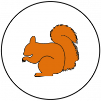 Dalpest Icons_Squirrel