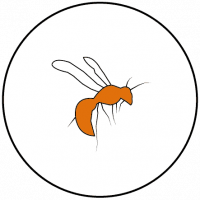 Dalpest Icons_Wasp